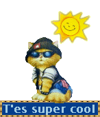 tu me trouve cool alor laisse moi des comm's meme si tu me trouve pa cool